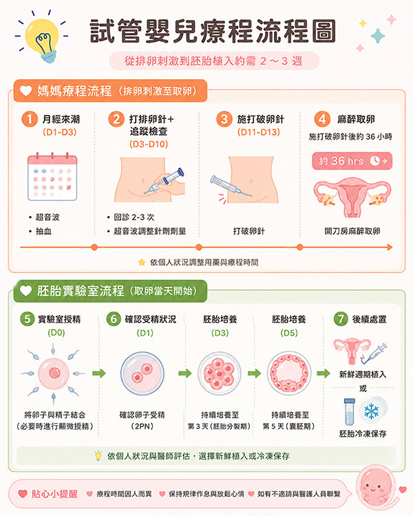 
                                試管嬰兒療程流程圖
                                從排卵刺激到胚胎植入約需2~3週
                                 媽媽療程流程(排卵刺激至取卵)
                                1. 月經來潮(D1-D3)
                              
                                2. 打排卵針+追蹤檢查(D3-D10)
                               
                                3. 施打破卵針(D11-13) 打破卵針
                                4. 麻醉取卵
                               
                                依個人狀況調整用藥與療程時間
                                
                                胚胎實驗室流程(取卵當天開始)
                                5. 實驗室受精 (D0)
                                將卵子與精子結合(必要時進行顯微受精)
                                6. 確認受精狀況 (D1)
                               
                                7. 後續處置
                                
                                
                                貼心小提醒
                                	療程時間因人而異
                                保持規律作息與放鬆心情
                               	如有不適請與醫護人員聯繫
                                